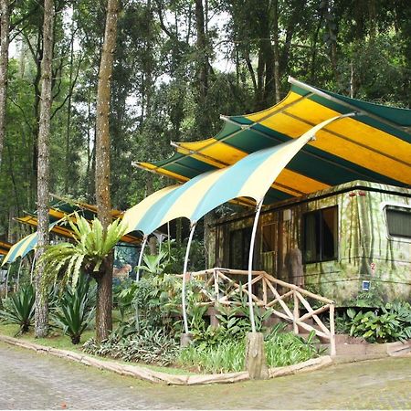 Safari Resort Puncak Exteriér fotografie