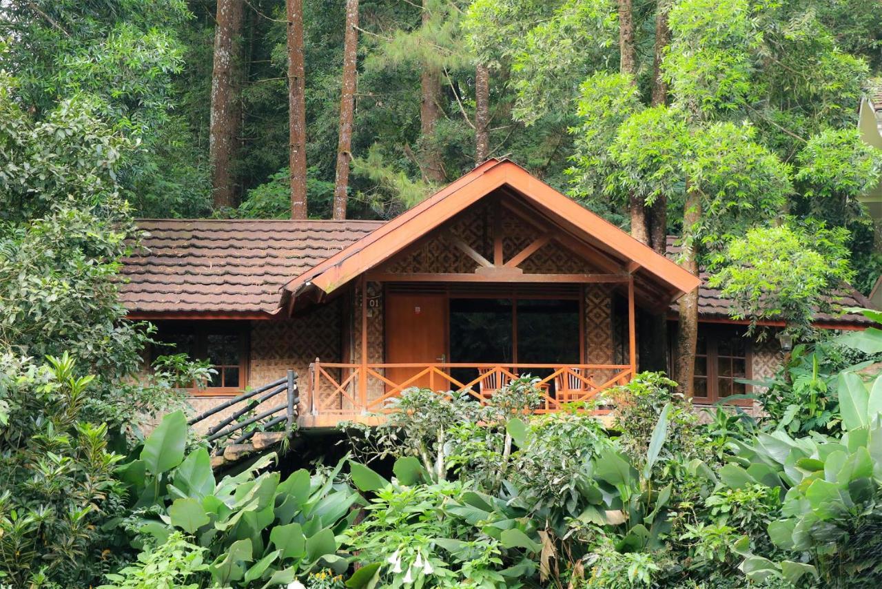 Safari Resort Puncak Exteriér fotografie