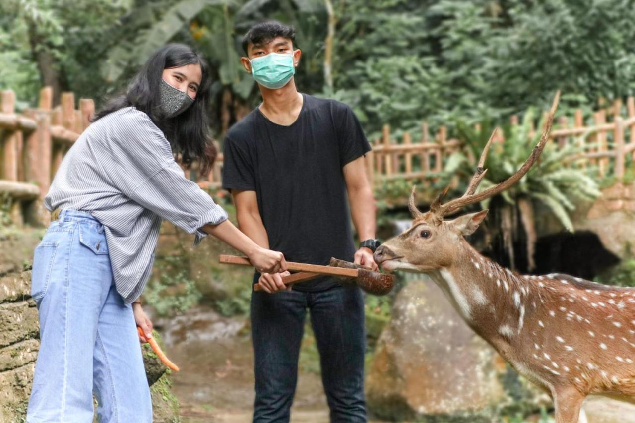 Safari Resort Puncak Exteriér fotografie